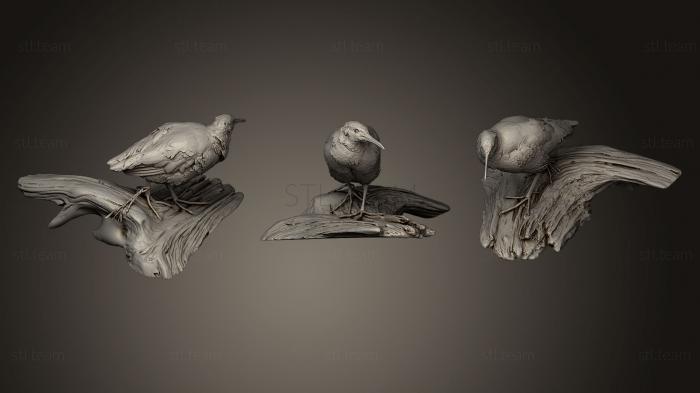 Статуэтки птицы Вирджиния Рейл